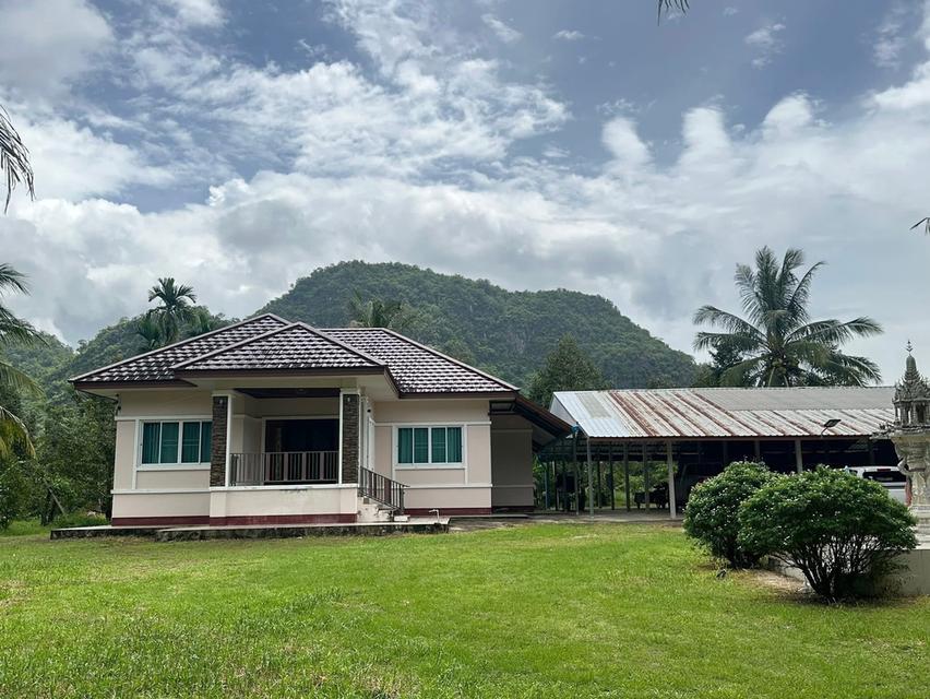 ขายสวนทุเรียนพร้อมบ้านพักอาศัย 12