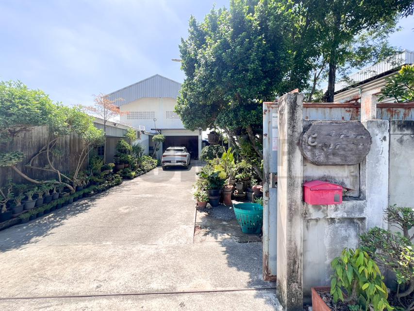 โกดังสินค้า โรงงานแปรรูปไม้ ซอยลำโพ 49 บางบัวทอง นนทบุรี รูปที่ 17