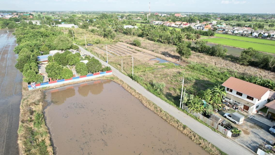 ที่ดิน 7