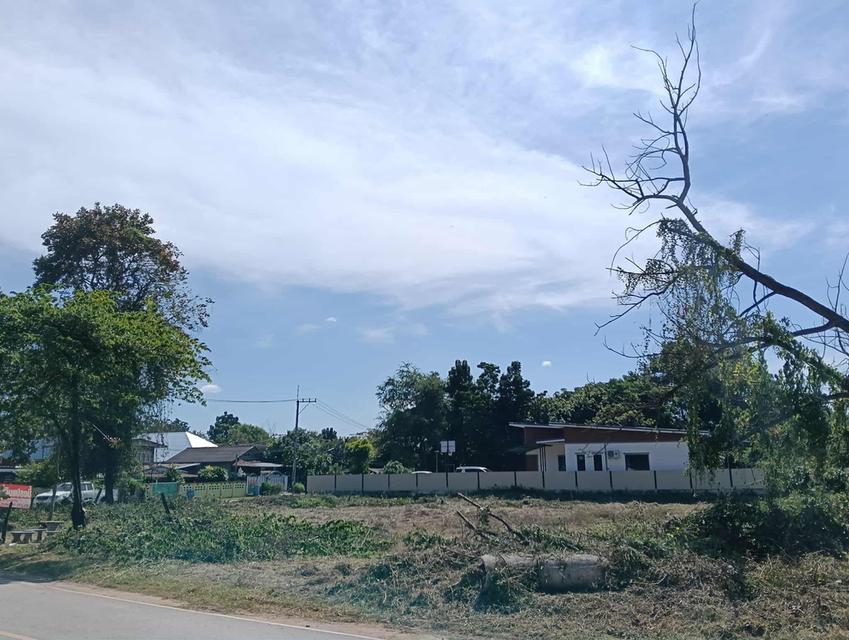 ที่ดินทำเลดีในอำเภอชุมแพ 4