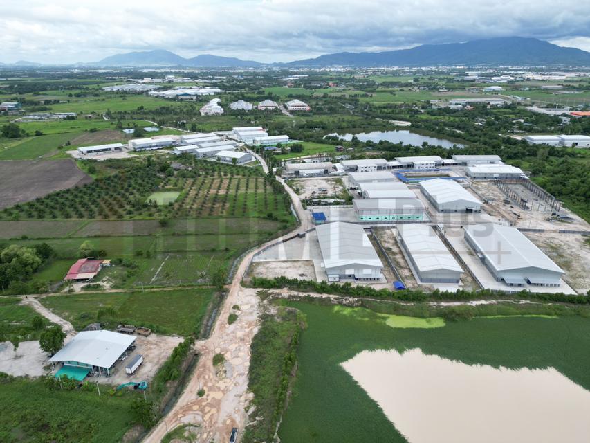 ขาย ที่ดิน บ้านบึง หนอง บอน แดง ชลบุรี(พร้อมสิ่งปลูกสร้าง) รูปที่ 19