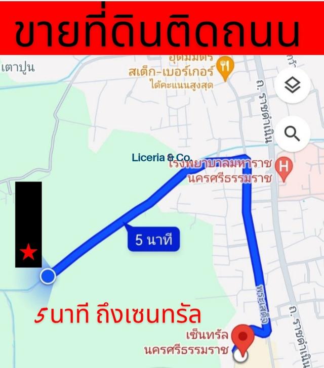 ที่ดินเปล่าใกล้เซ็นทรัล (5 นาที) โรงพยาบาลมหาราช (3 นาที) ขายด่วน ถูกมาก ไร่ละไม่ถึงล้าน 2