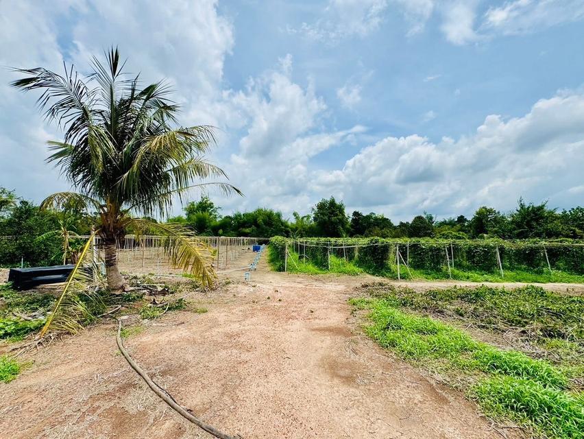 ที่ดินเมืองปราจีนบุรี 6