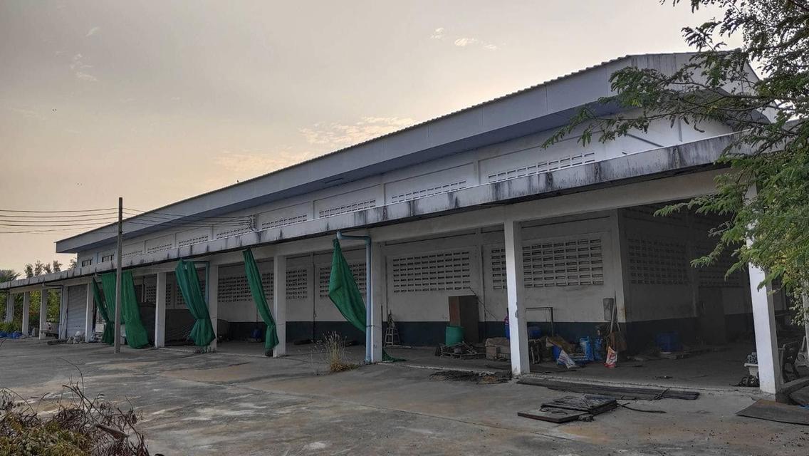 ขายโกดัง/โรงงานพร้อมที่ดินเนื้อที่ 3 ไร่(750ตรม.) ติดคลอง ฝั่งวัดพันธุวงค์ใกล้นิคมสมุทรสาคร-13กม. ต.บ้านเกาะ เมืองสมุทรสาคร 5
