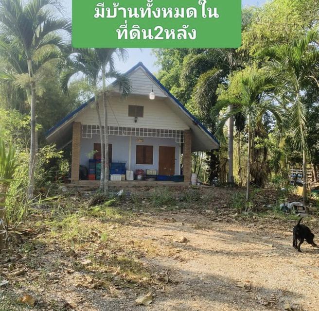 ขายที่ดิน5ไร่ติดถนนเพชรเกษมทำเลดี 4