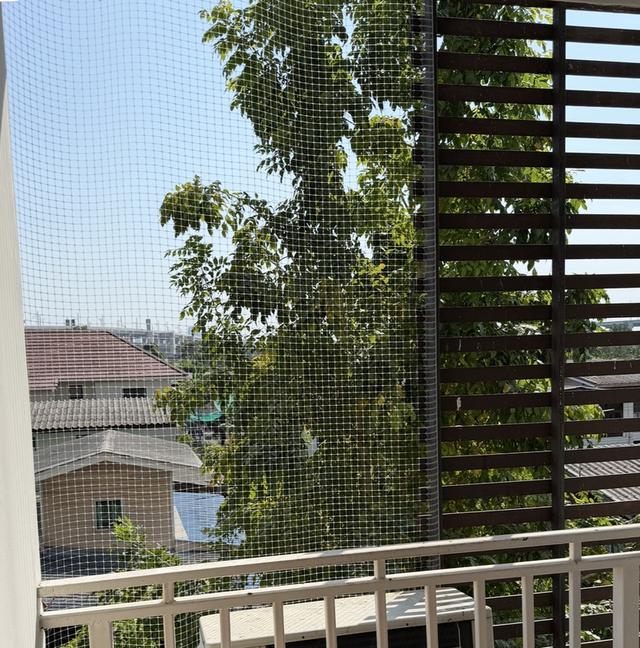 Condominium Regent Home 6/2 6