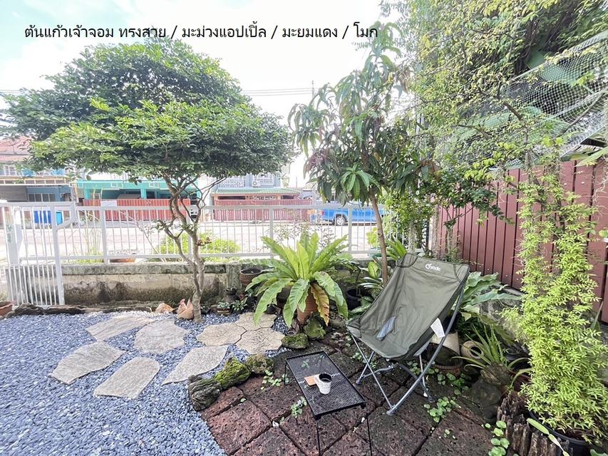 ขายบ้านแฝด พร้อมเฟอร์ หมู่บ้านพฤกษา17 ลำลูกกา คลอง3 4