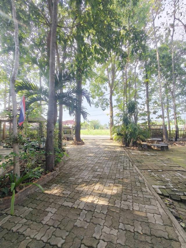 ที่ดินพร้อมสิ่งปลูกสร้างพอพัก ค้านอาหารบ้านพัก อ.เมืองจ.พะเยา 17