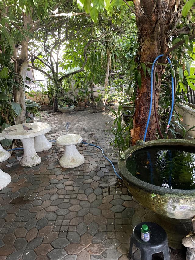 ขายบ้านเดี่ยว เนื้อที่ 55 ตรว. รังสิต 13