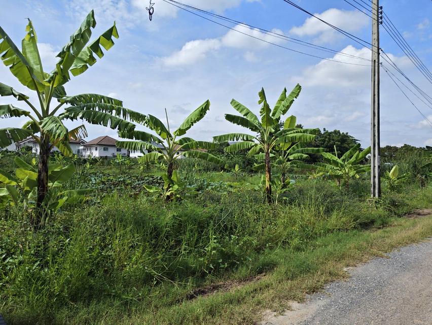 ขายที่ดิน 4 ไร่ ถนนพัฒนาชนบท 3 ซอยสมร ใกล้มอเตอร์เวย์กรุงเทพ-ชลบุรี 2