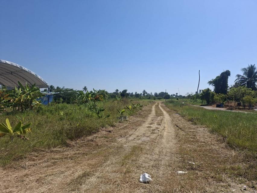 ขายที่ดิน แปลงสวย ตรงข้ามเซ็นทรัลศาลายา นครปฐม อำเภอสามพราน 60 ไร่ ติดถนนบรมราชชนนี เหมาะกับทำธุรกิจ