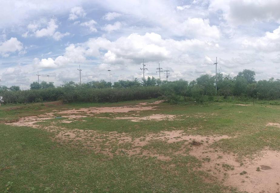 ที่ดินมหาสารคาม 6 ไร่ ใกล้เทศบาลบรบือ เจ้าของขายเอง 2