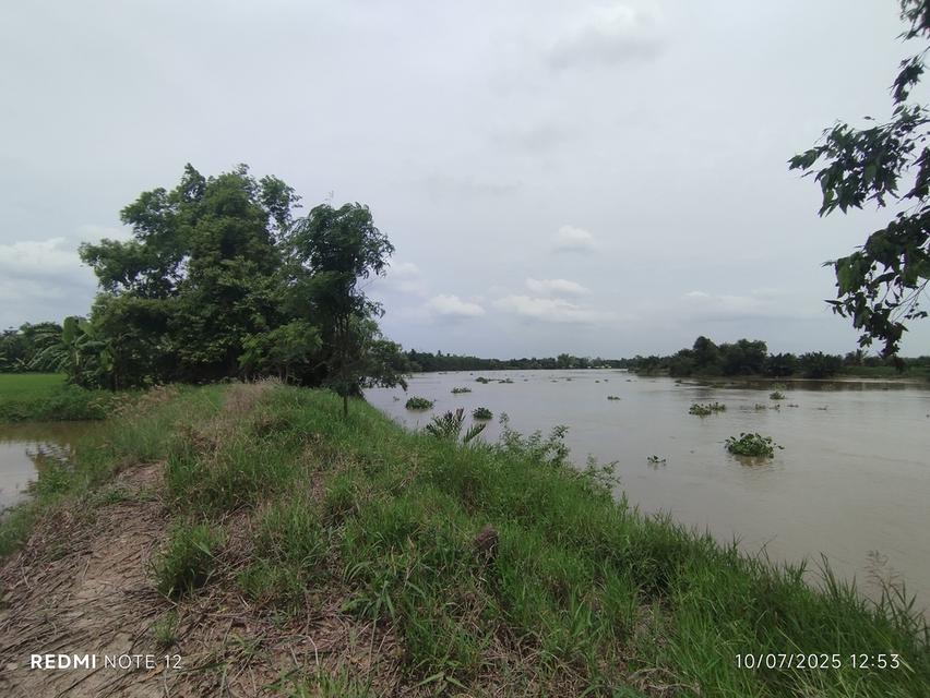 ที่ดินริมน้ำบางปะกง 30 ไร่เศษ ติดถนนใหญ่ + ติดแม่น้ำ วิวสวย ศักยภาพสูง เหมาะลงทุนรีสอร์ท พูลวิลล่า หรือโครงการท่องเที่ยวครบวงจร 6