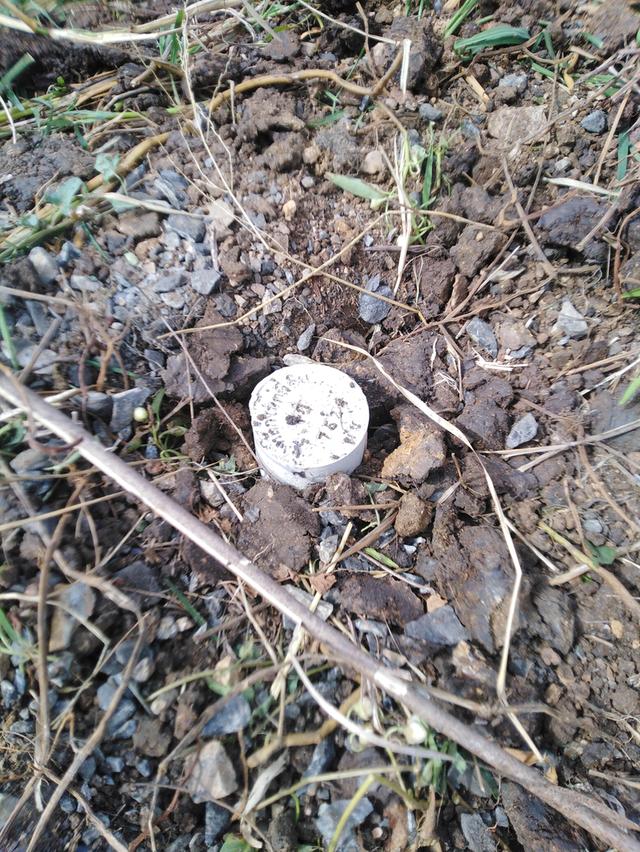 ที่ดิน400-500.ตรางวา 8