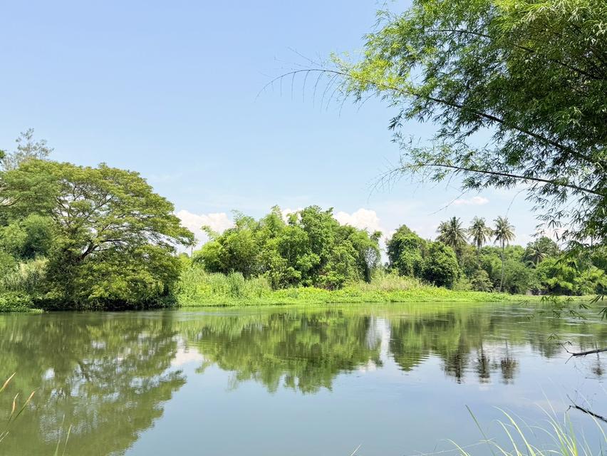 แม่น้ำแม่น้ำเพชรบุรี 1 ไร่ อากาศดี ใกล้รีสอร์ท มีที่งอก แถมฟรี 1
