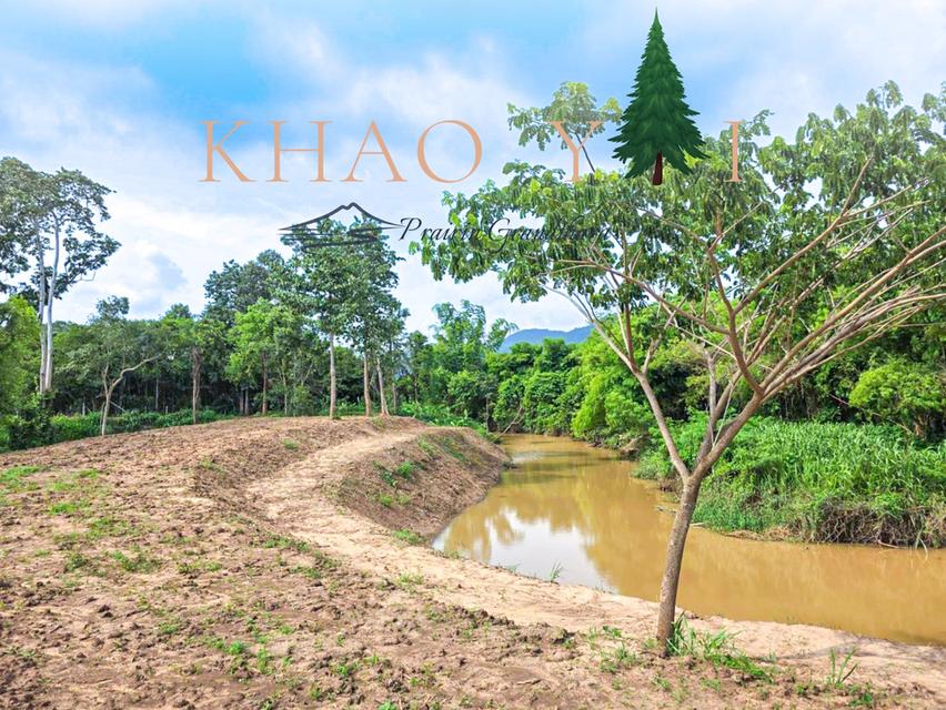 บรรยากาศเขาใหญ่ ปากช่อง #ติดลำธาร  เพียง 7,500/ตรว. ผ่อน12งวด #ฟรีดอกเบี้ย 15