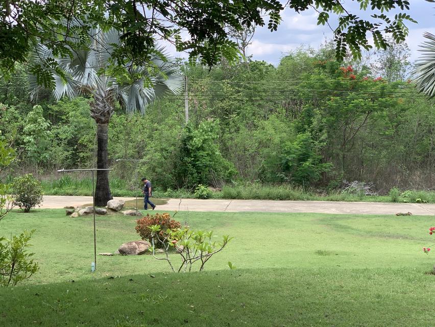 ที่ดิน พื้นที่ สองไร่ ในโครงการแก่งกระจาน คันทรี่คลับ ซื้อที่ดินแถมบ้านถนนปูนถึง น้ำน้ำไฟพร้อม 6