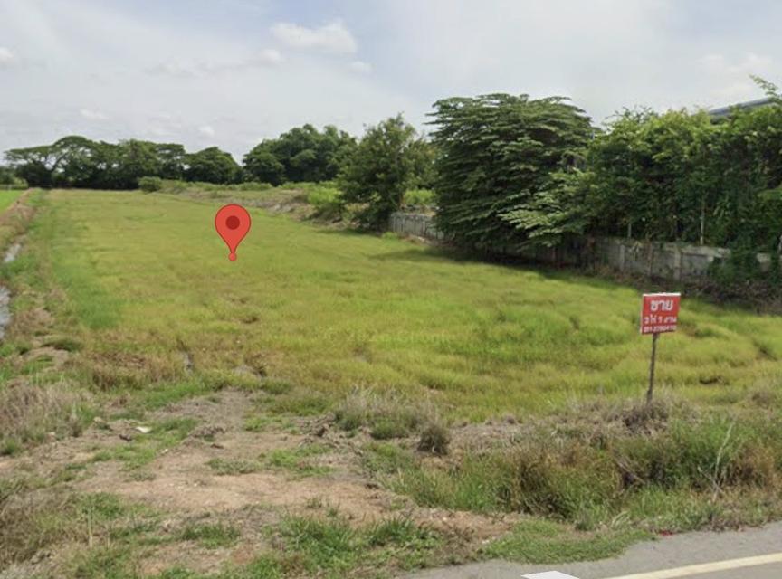 ขายที่ดิน หลังมหาวิทยาลัยราชภัฏพิบูลสงคราม ประตู 3 จังหวัดพิษณุโลก 3