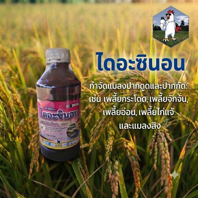 ไดอะซินอน กำจัดหนอน แมลง