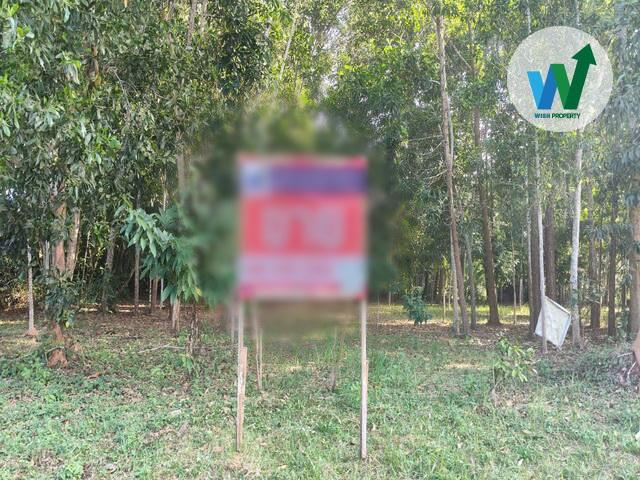 ที่ดินเพื่อการลงทุนพัทลุง ทำเลทองใกล้แหล่งชุมชน 8