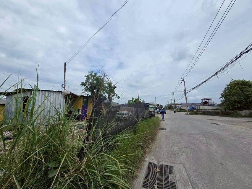 Vายที่ดินผังม่วง 2ไร่เศษ ติดถนน 2 ด้าน ซอย คุ้มเกล้า 50 ลาดกระบัง กรุงเทพมหานคร 8