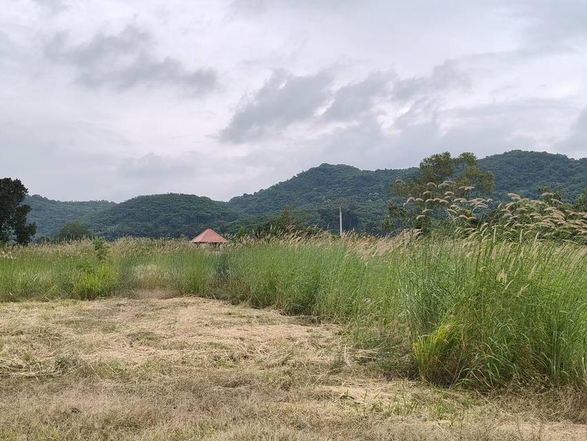 ขายที่เขาใหญ่ หนองสาหร่าย ปากช่อง 8ไร่ วิวเขาล้อมรอบ ใกล้ภูเขา ที่อยู่บนเนินสุดเทควิวสวยมาก ใกล้ 2235 ถนนมิตรภาพ ใกล้ร้านค้าชุมชน ตลาด เซเว่น ขายถูก 1