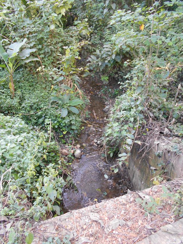 ที่ดินติดลำห้วย บ้านผาแดง ต.นายม อ.เมือง จ.เพชรบูรณ์ 20