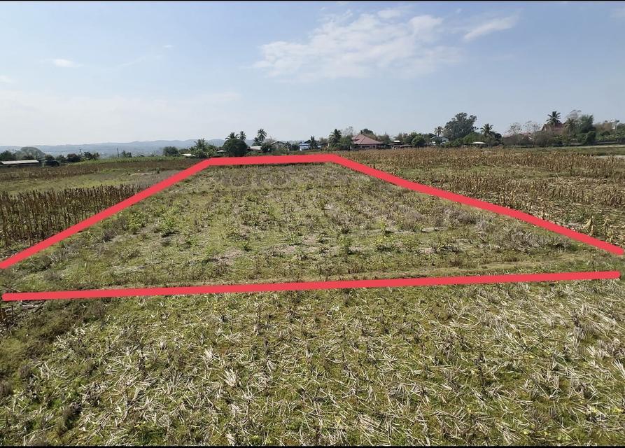 ที่ดิน(ที่นามีโฉนดครุฑแดง) 9
