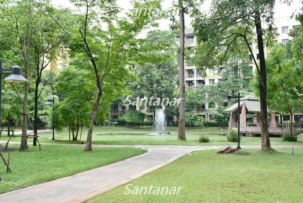 The Parkland Bangna for Rent. Fully furnished and Excellent view, Ready to move in. 12