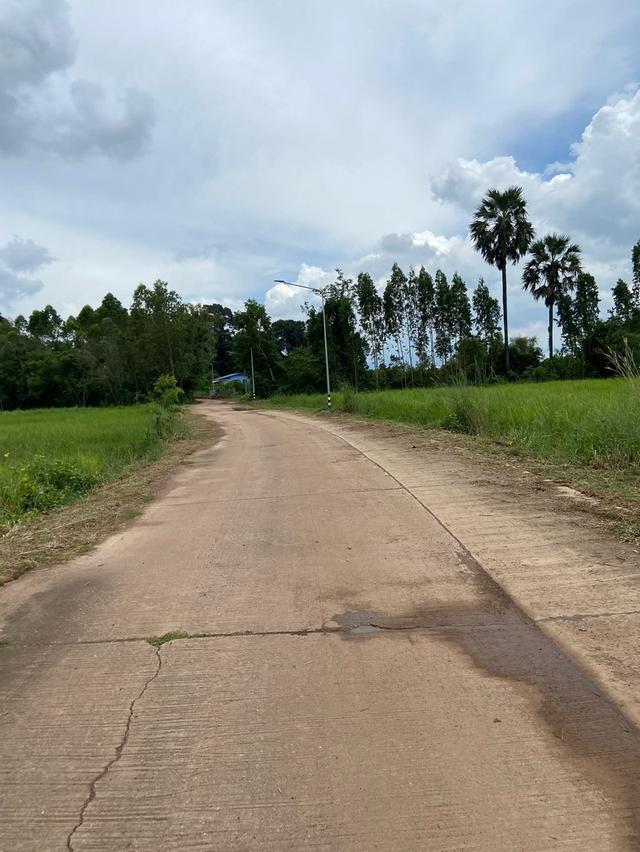 ที่ดินทำเลสวย ปราจีนบุรี 5