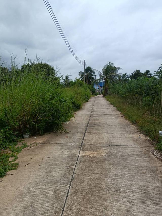 ขายที่ดินโป่ง พัทยาเนื้อที่ 2 ไร่ ใกล้ถนนกระทิงลาย-ปลวกเกตุ-800เมตร อ.บางละมุง ชลบุรี