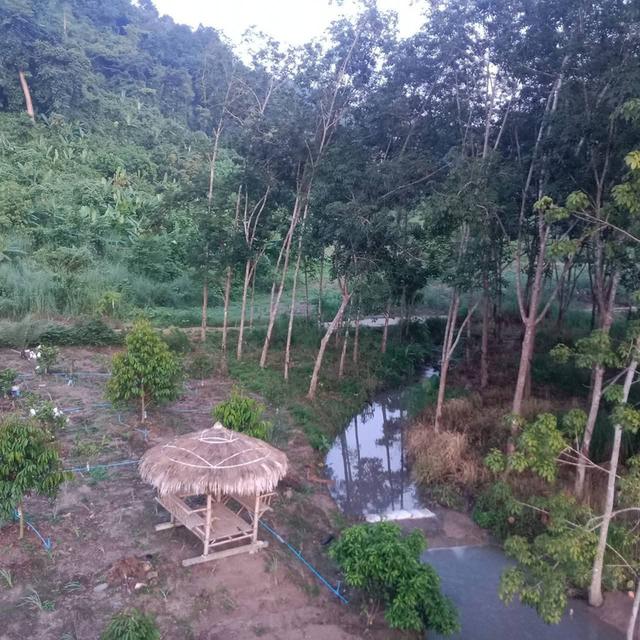 บ้านสวนทุเรียนพร้อมรีสอร์ท 2
