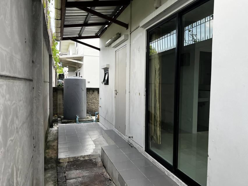Atoll Java Bay : เอโทล จาวา เบย์ กิ่งแก้ว 19 15