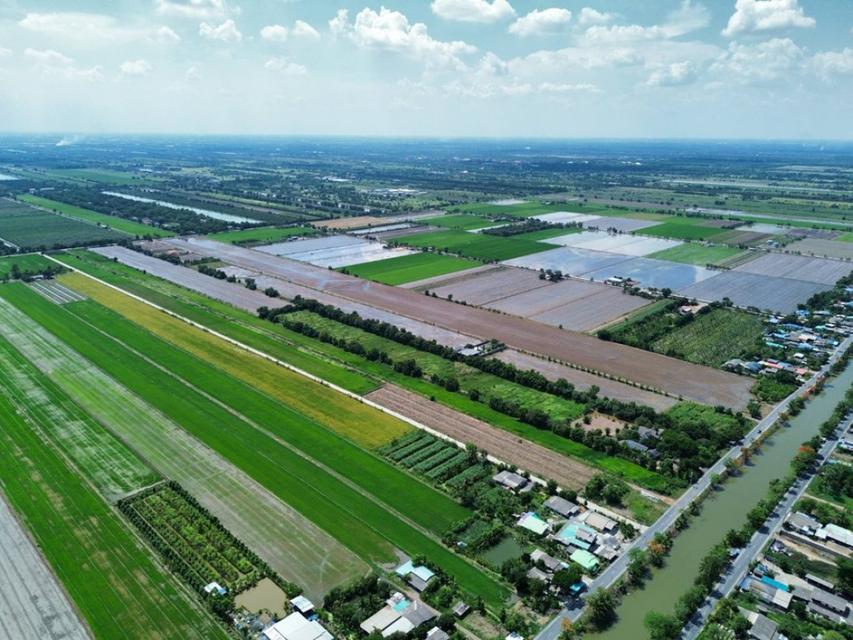ขาย ที่ดิน คลอง 11 หนองเสือ รังสิต นครนายก 69 ไร่ 3 งาน 58 ตร.วา แปลงสี่เหลี่ยมสวย เหมาะทำโครงการจัดสรร 5