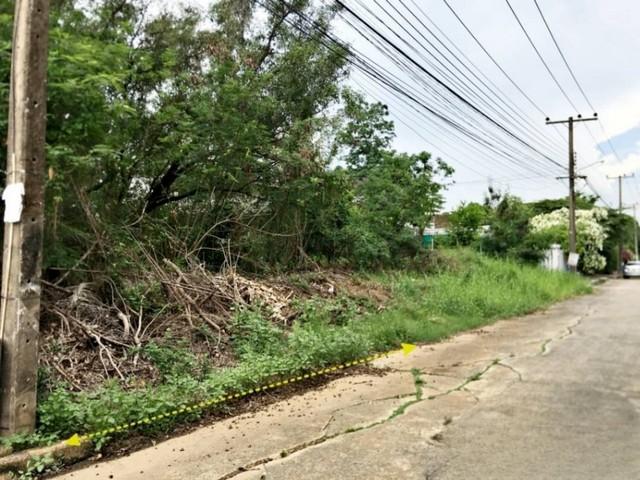 ที่ดินเปล่า เมืองเอก โครงการ 3 พื้นที่ 133 ตร.ว.ซ.เอกรัตน์ 11 ต.หลักหก อ.เมืองปทุมธานี จ.ปทุมธานี 1