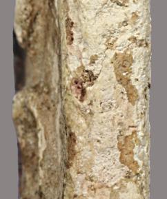 สมเด็จวัดระฆัง พิมพ์ใหญ่ 6