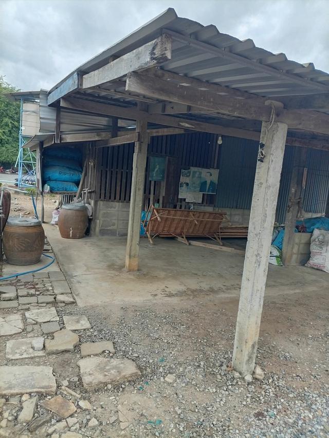 จ้านพร้อมที่ดิน โคกช้า อำเภอเดิมบาง จะังหวัด สุพรรณบุรี 4