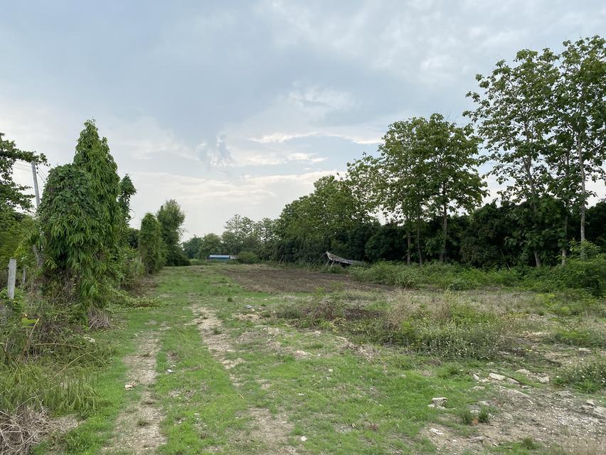 ที่ดินดอยสะเก็ดเชียงใหม่ 5ไร่ 6