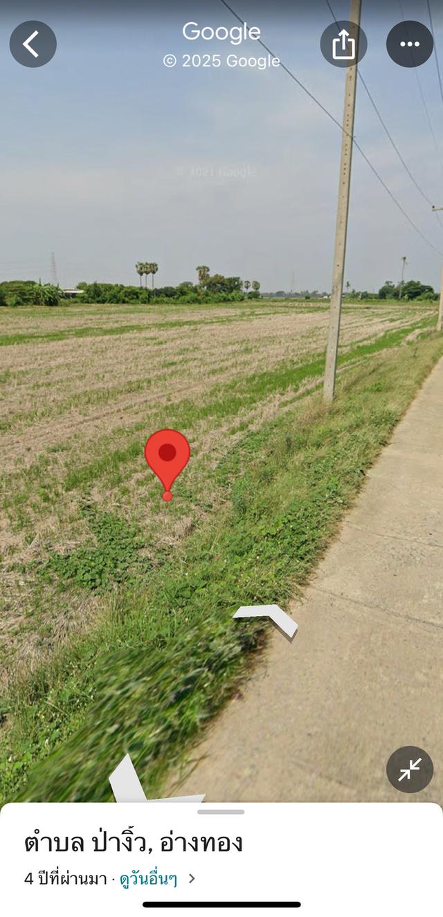 ขายที่ดินป่างิ้ว อ่างทอง 1