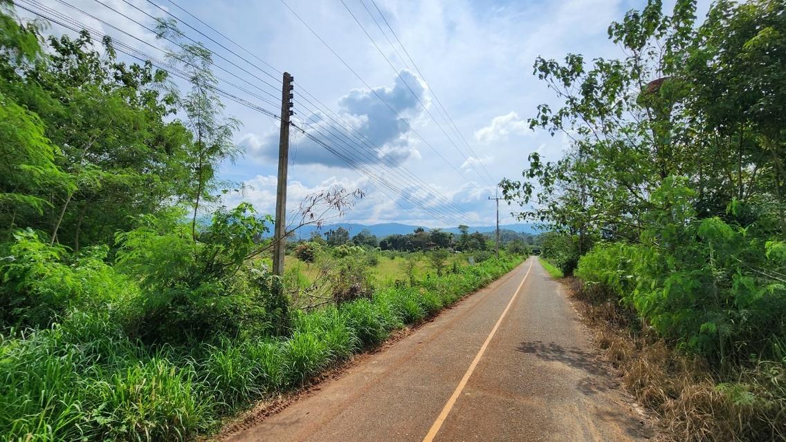 ที่ดินเขาใหญ่ 3ไร่.(ขายแบ่งครึ่งได้)  | ใกล้น้ำพุร้อน บ. ท่าช้างหมูสี | ตร.วาล่ะ 13,000บ. 15