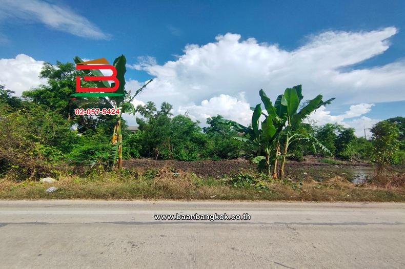 ที่ดินเปล่า เนื้อที่ 6-3-91 ไร่ ใกล้หมู่บ้านฟีนิกซ์ ถนนคลองสอง(ไอยรา) ตำบลคลองสอง อำเภอคลองหลวง จังหวัดปทุมธานี 3