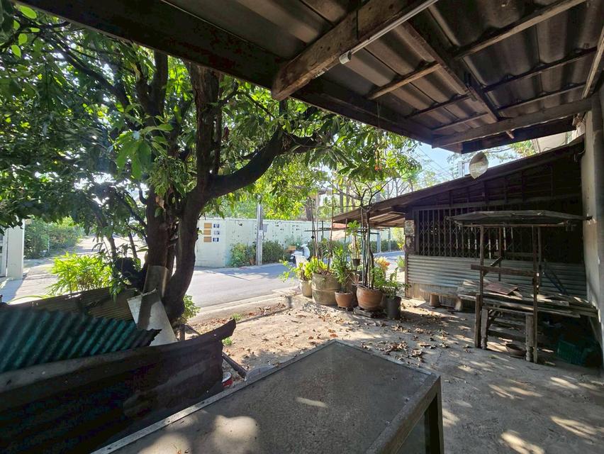 ขายบ้านไม้ 2 ชั้น ทำเลดี เหมาะลงทุน ใกล้ APL รามคำแหง (N.2011) 9