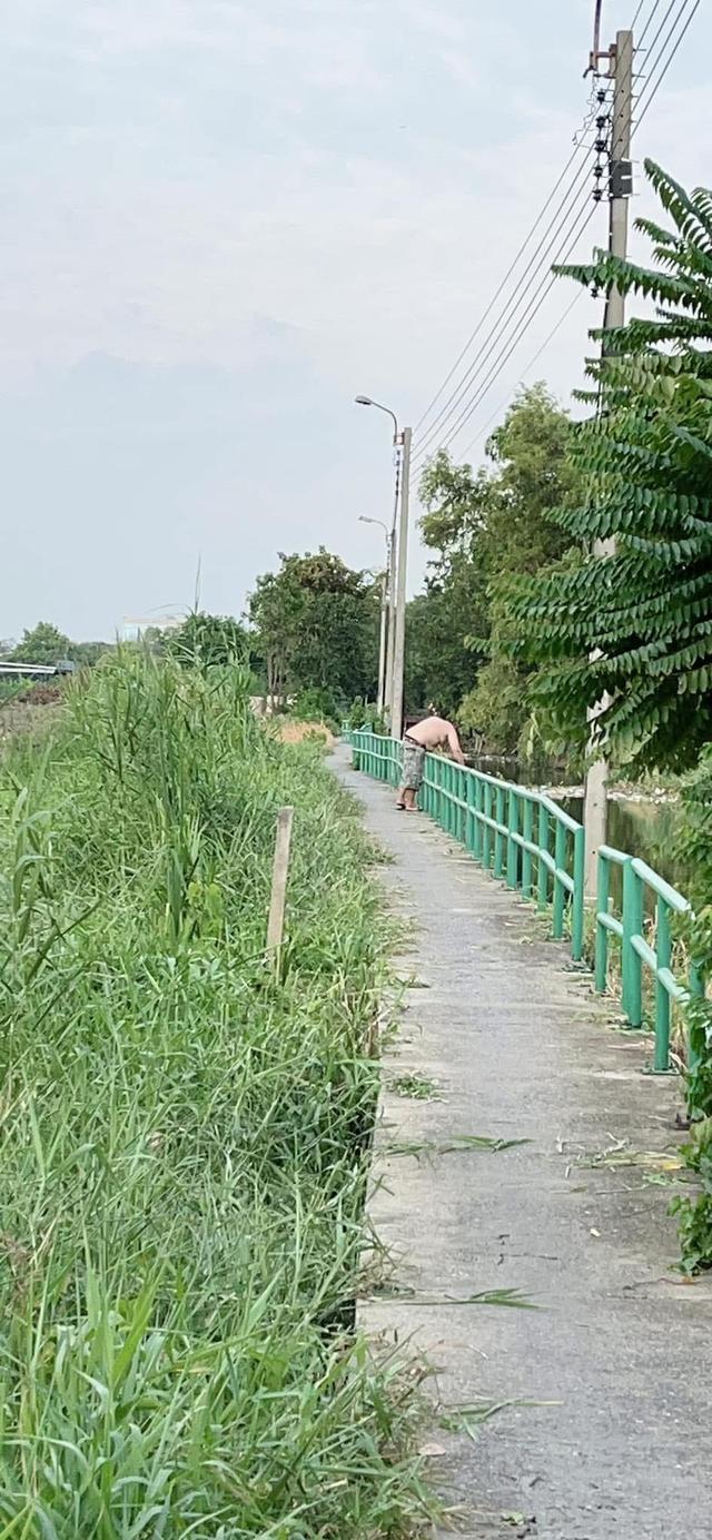 ที่ดินยกแปลง 8