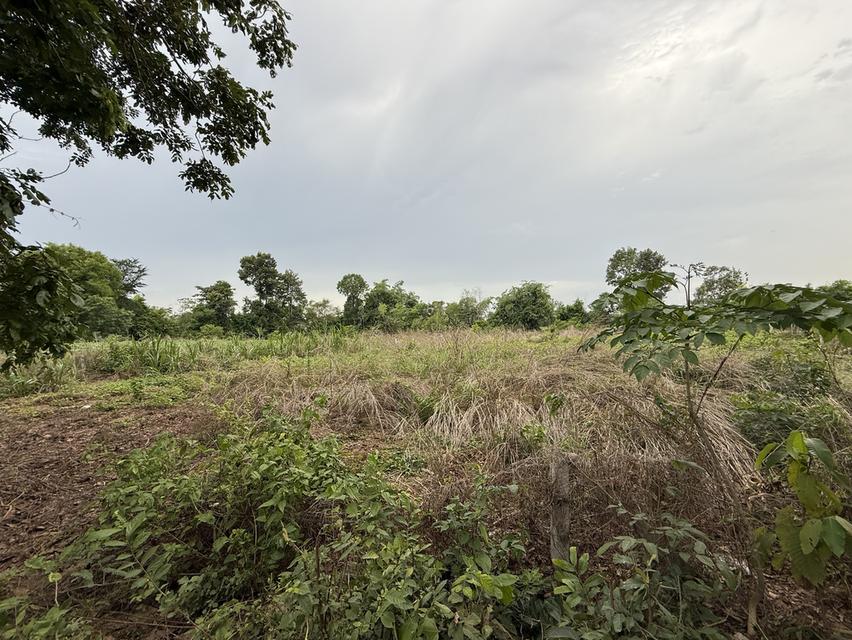 ขายที่ดิน โฉนด พร้อมโอนทำเลดี 1