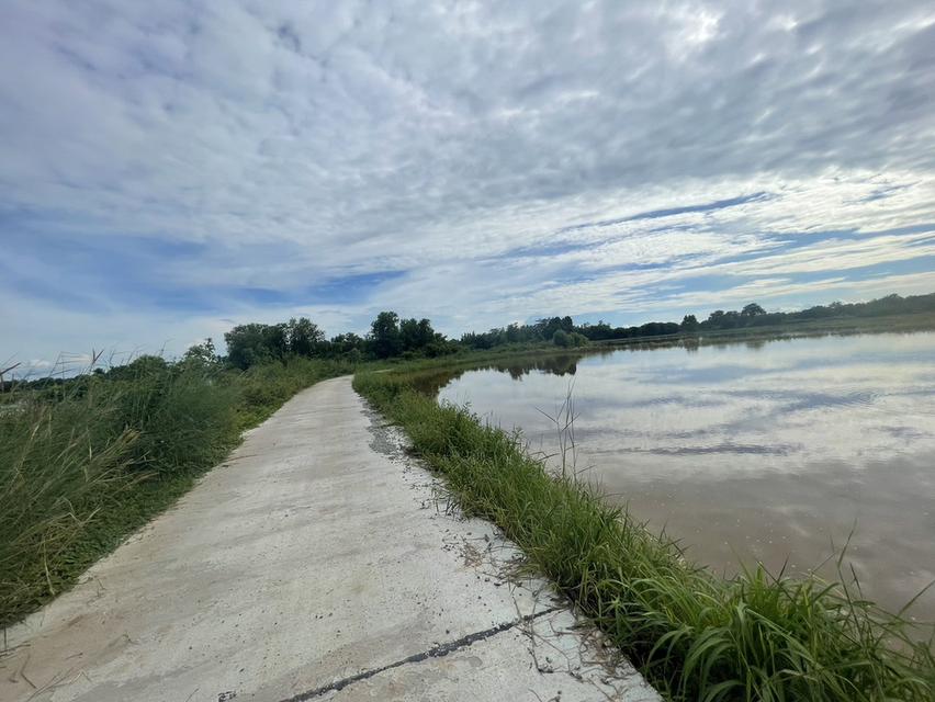 ขายที่นาพนมสารคาม 4 ไร่ หลังตลาดพนม ใกล้ถนนเส้น 3444 – 850 เมตร ใกล้ถนนเส้น 3481 – 1 กม. จ.ฉะเชิงเทรา 1