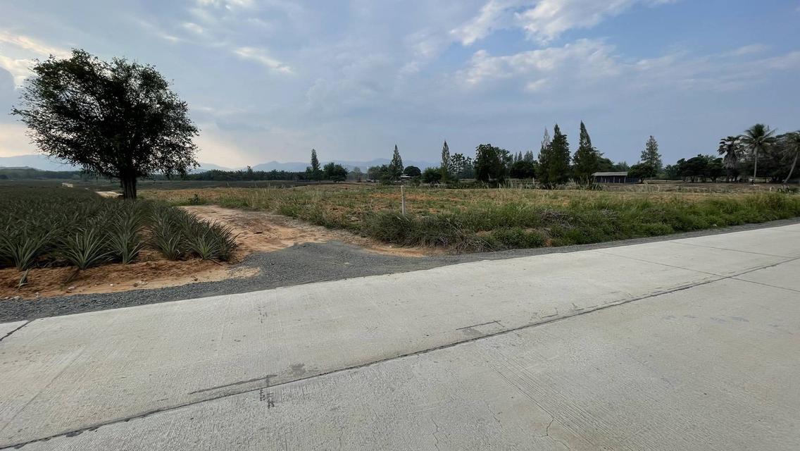 ขายที่ดิน ประจวบคีรีขันธ์ 2