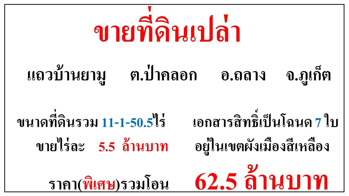 ขายที่ดินเปล่า ขนาด 11-1-50.5 ไร่ **แถวบ้านยามู** อ.ถลาง ภูเก็ต (ไร่5.5ลบ.) 4