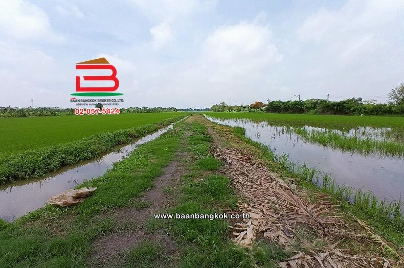 ที่ดินเปล่า ไมตรีจิต 10 แยก 4 เนื้อที่ 41-0-52 ไร่ ใกล้โรงพยาบาลรัตนประชารักษ์ แขวงสามวาตะวันออก เขตคลองสามวา กรุงเทพมหานคร 1