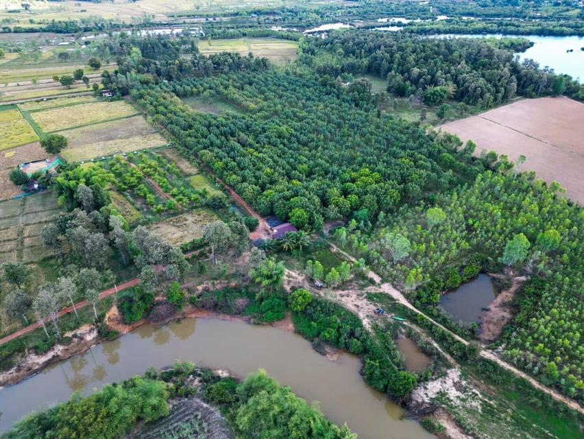 ที่ดินบ้านสวน บ้านท่าม่วง หนองลาด สกลนคร 2