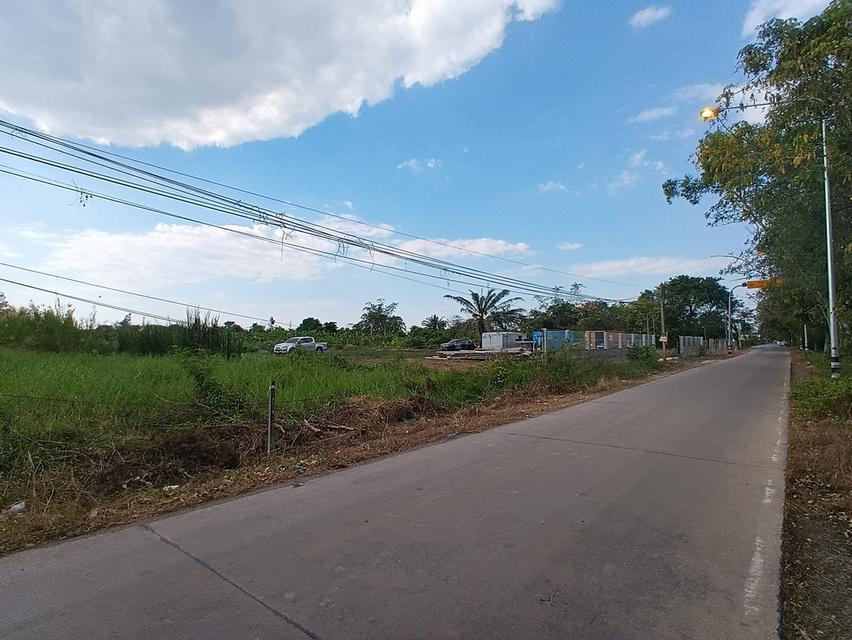 ที่ดิน 10 ไร่ 2 งาน 90 ตารางวา หนองเสือ ปทุมธานี ติดถนนเลียบคลอง10ฝั่งตะวันตก 4